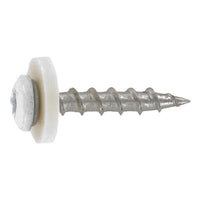 Surub pentru glaf cu saiba poliamida, filet pas mediu - C 3,9 x 32 TX 15 - RAL 9003 - 200 buc.