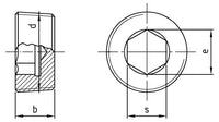 DIN 906 conform DIN 158 - Dop pentru tevi cu hexagon interior si filet conic - M24 x 1,5 mm - 25 buc.