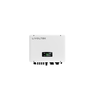 Invertor Hibrid Trifazic LIVOLTEK IP65 2MMPT 5-30kw