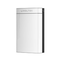 Baterie pentru panouri fotovoltaice voltaj mic LIVOLTEK 51.2V 100Ah