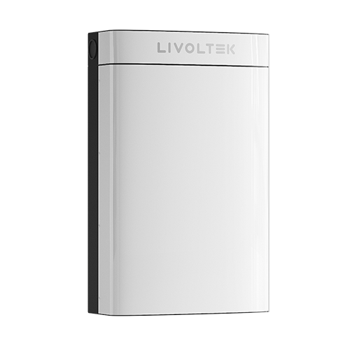Baterie pentru panouri fotovoltaice voltaj mic LIVOLTEK 51.2V 100Ah