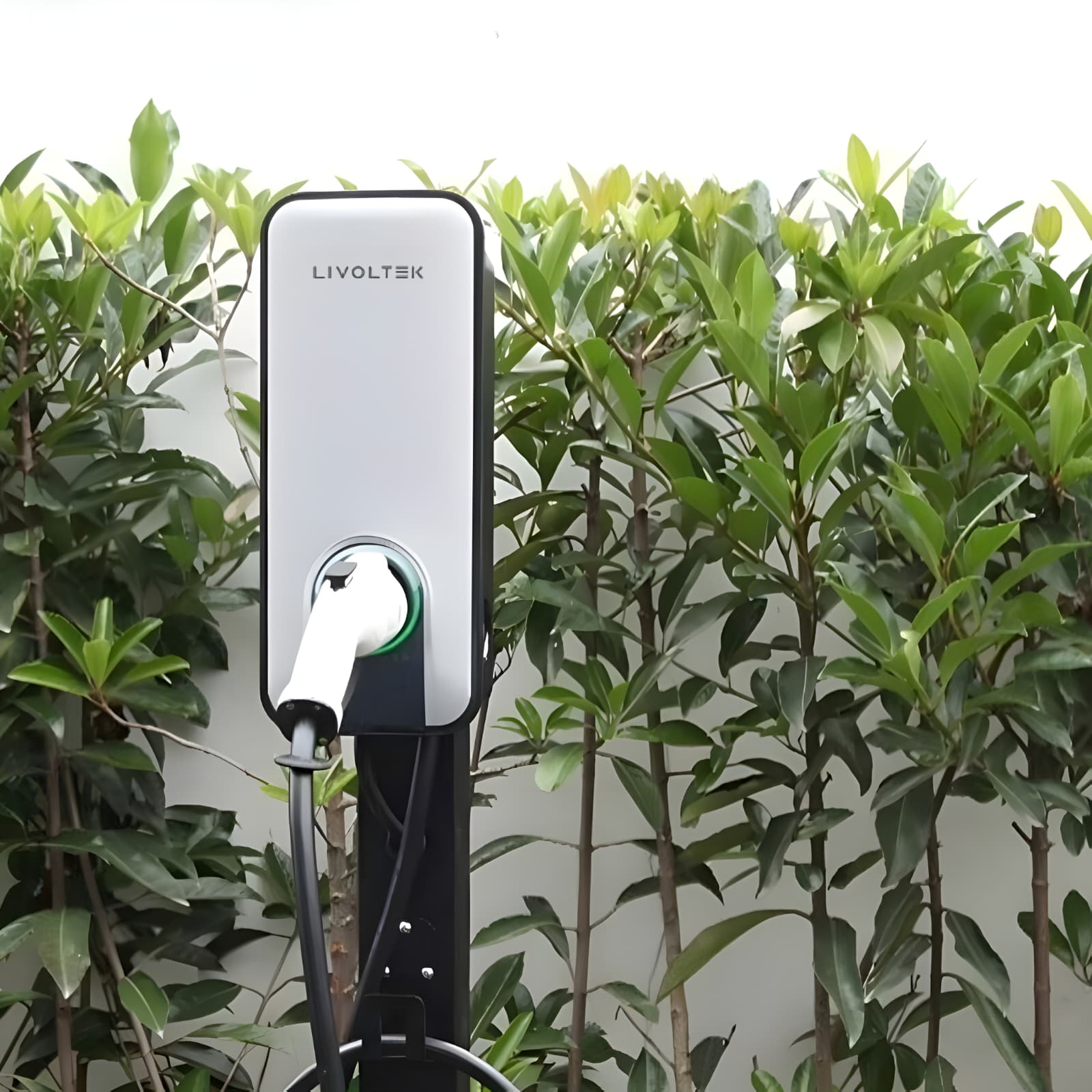 Stație de Încărcare Auto Livoltek 7,3 kW / 11 kW ATOM, Type 2