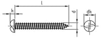 Surub siguranta cap plat cu filetare unidirectionala - C 6,3 x 75 mm - 100 buc.
