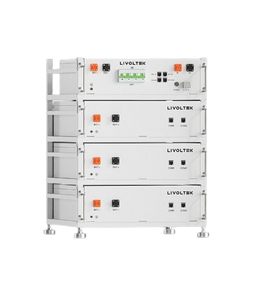 LIVOLTEK Cutie de Control BMS, IP65