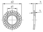 Saiba elastica zimtata Z tip M