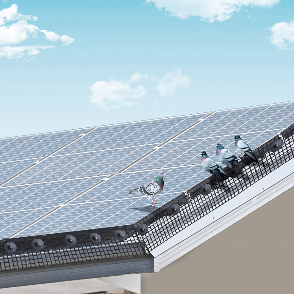 Plasa de protectie panouri fotovoltaice anti pasari, otel zincat 20cm L=30 m cu sistem de fixare inclus